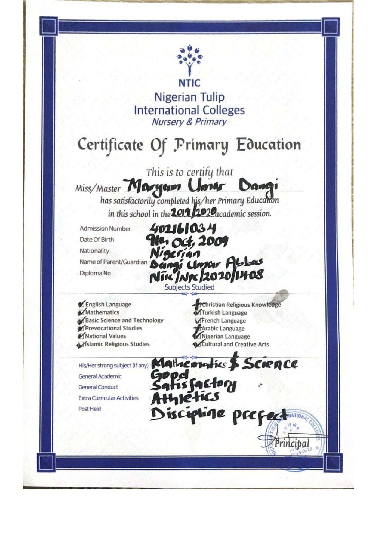Document Page 1